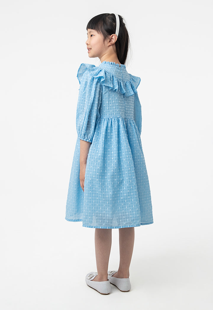 Frilled Textured A-Line Lined Midi Dress