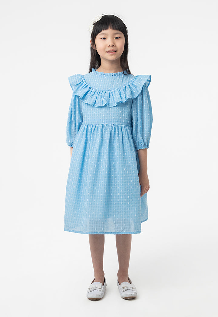 Frilled Textured A-Line Lined Midi Dress