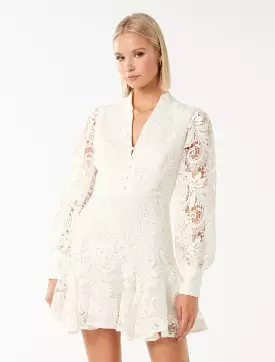 Iris Lace Mini Dress