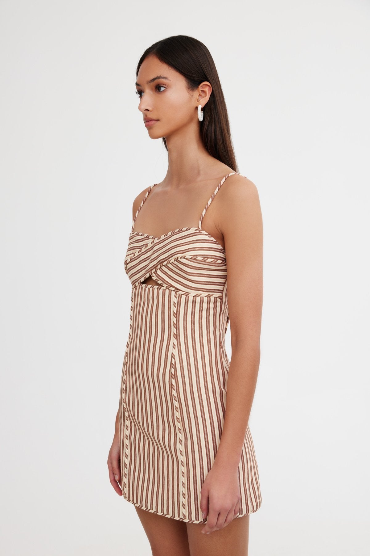 Vaila Dress in Mushroom Stripe